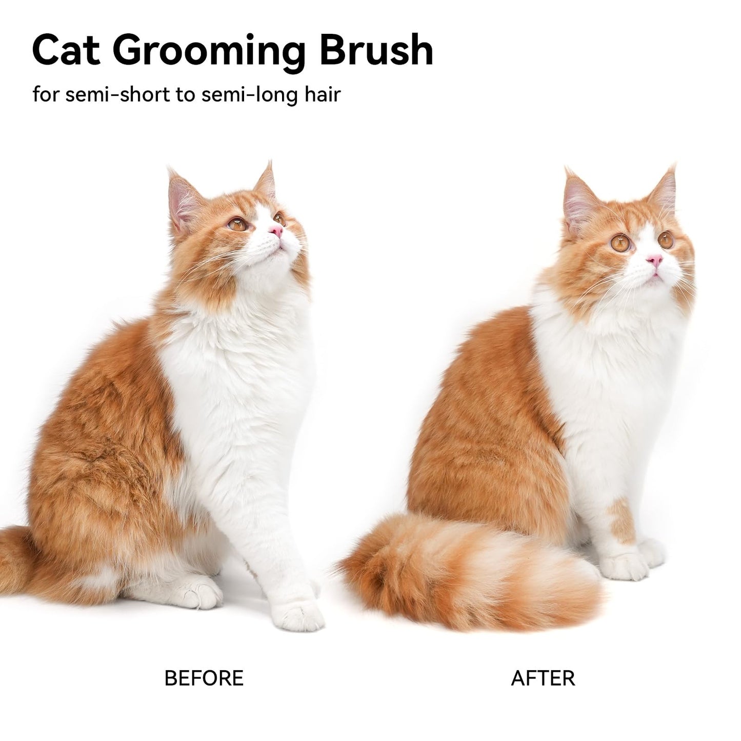 Aumuca Pet Grooming Brush for Cats & Rabbits